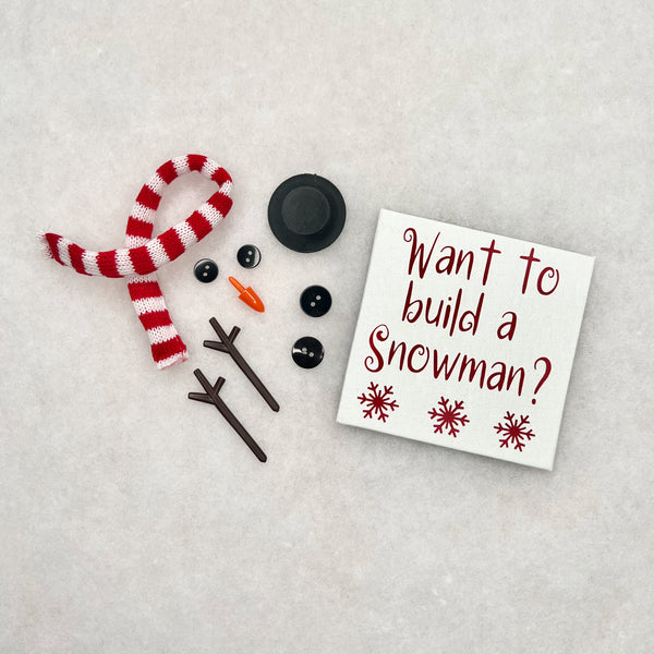 Build a Snowman Kit